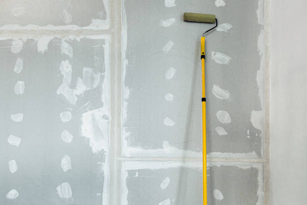 Trusted North Brooksville, FL Dry wall and painting Experts